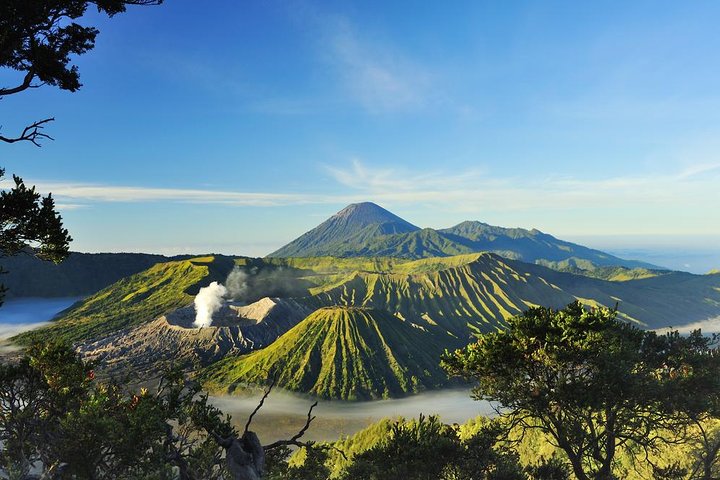 Mount Bromo Tour From Probolinggo Cruise Port - Image 1