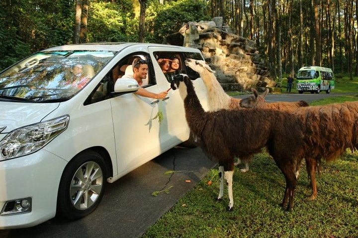 Taman Safari Private Tour and PutukTruno Waterfall - Image 1