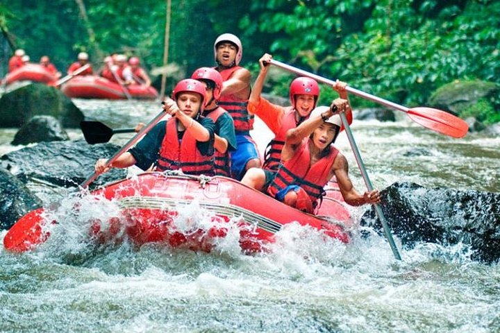 White Water Rafting with Ubud Tour  - Image 2