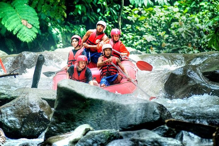 White Water Rafting with Ubud Tour  - Image 4