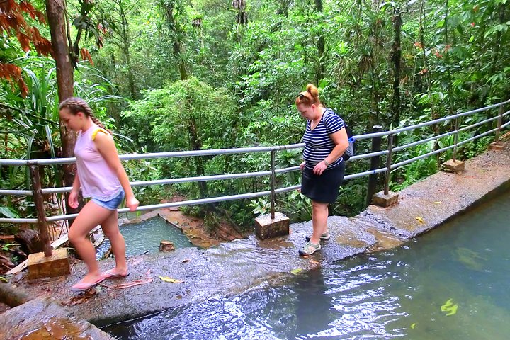 Customized Suva day tour - Image 1