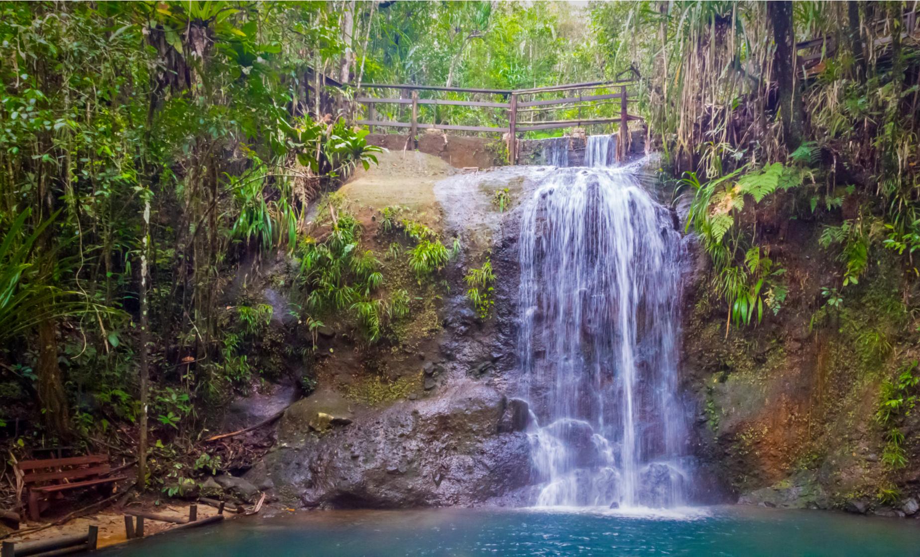 Private Jungle and Waterfall Trek - Image 1