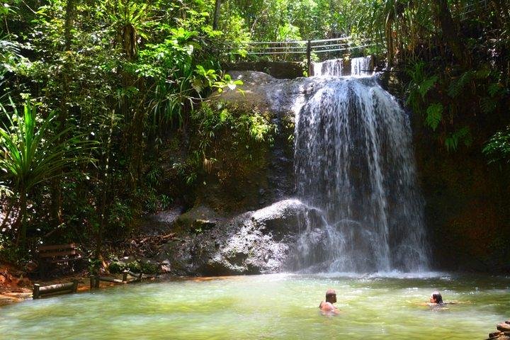 Private Suva Nature and Waterfall Tour - Image 2