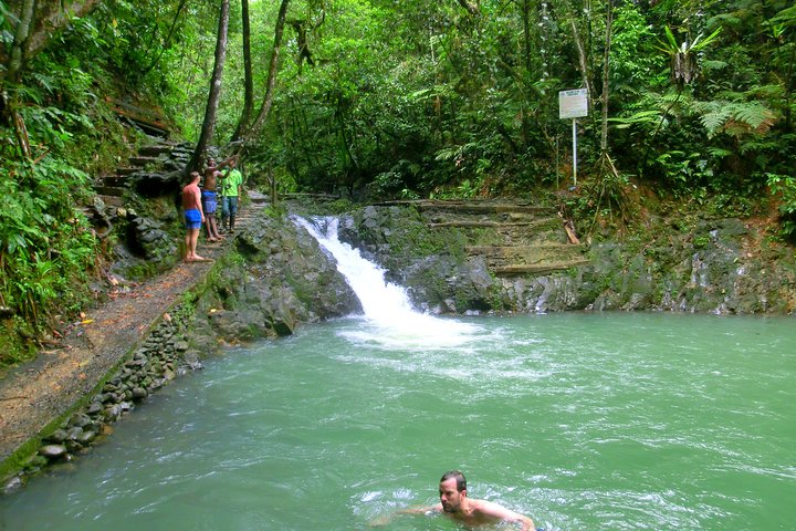 Private Suva Nature and Waterfall Tour - Image 3
