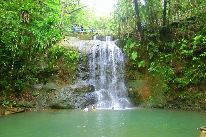 Private Suva Nature and Waterfall Tour - Image 5
