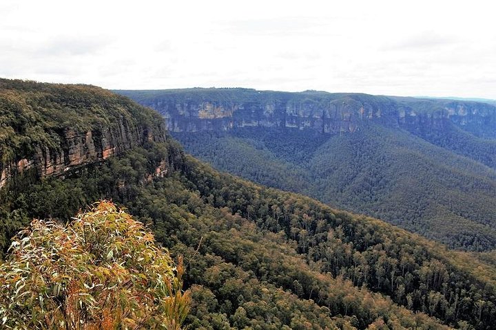 Blue Mountains - Image 4