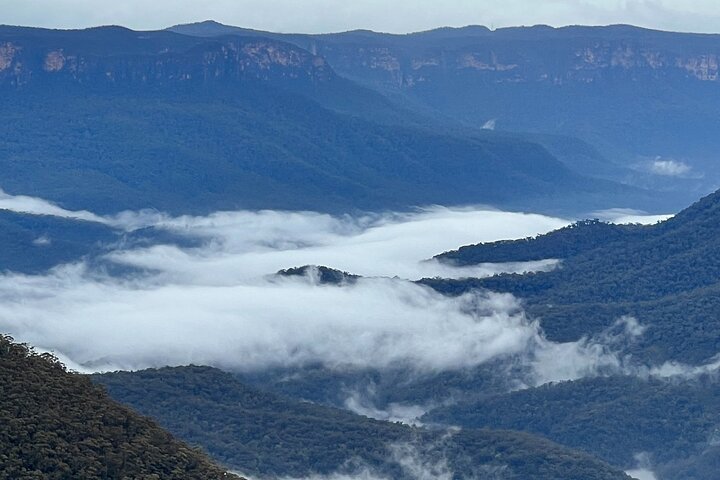 Blue Mountains Day Adventure, Featherdale Wildlife & River Cruise - Image 2
