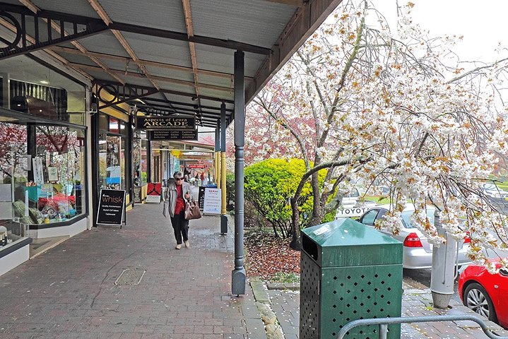 Blue Mountains Highlights & Wildlife Park  - Image 5