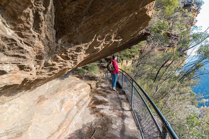 Blue Mountains Highlights & Wildlife Park  - Image 1