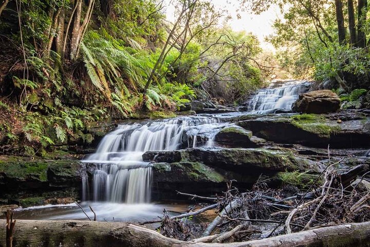 Blue Mountains Luxury Tour from Sydney - Image 3
