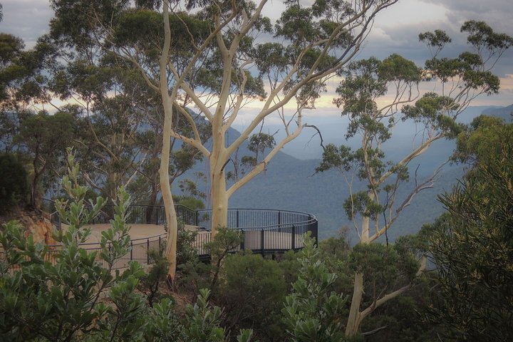Blue Mountains Private Charter - Image 4
