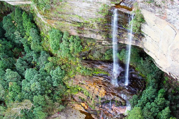 Blue Mountains Private Tour including Wildlife Park - Image 5