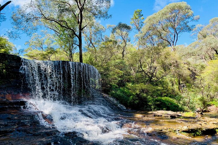 Blue Mountains Small Group Tour - Image 4