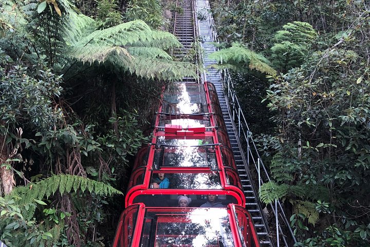 Blue Mountains Tour (ScenicWorld) - Image 5