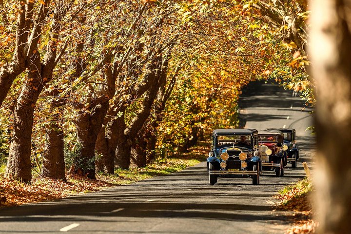 Blue Mountains Vintage Cadillac Tour with Local Guide - Image 3