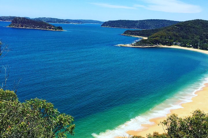 Central Coast Private Tour From Sydney, with Australian Reptile Park Option - Image 1