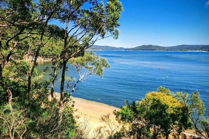 CENTRAL COAST PRIVATE TOUR Waterfalls, Beach Lookouts, Aboriginal Rock Art  - Image 1