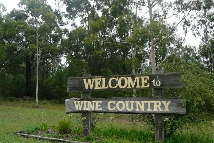 Day Trip from Sydney | Wines, Wildlife and Rock Engravings in a day  - Image 5