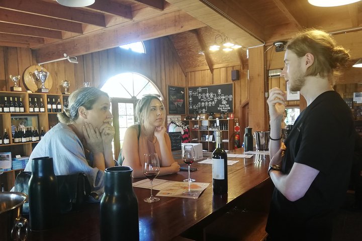 Day Trip from Sydney | Wines, Wildlife and Rock Engravings in a day  - Image 3