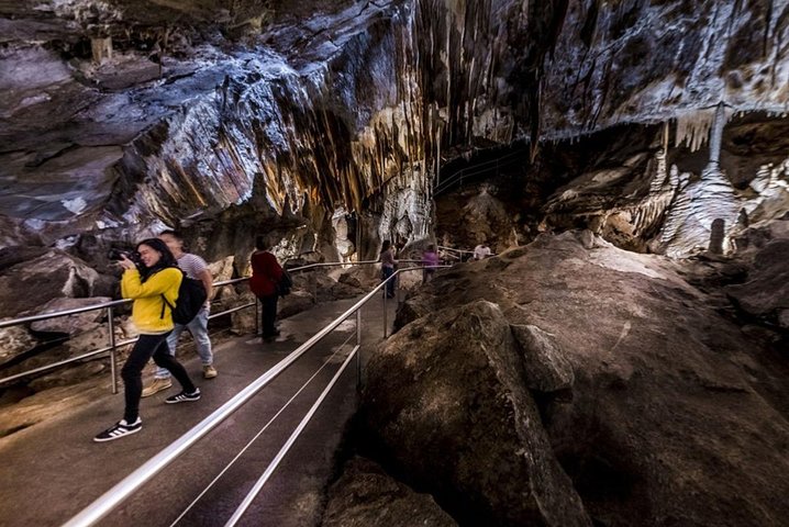 Discover the World Heritage treasures of the Blue Mountains Tour - Image 4