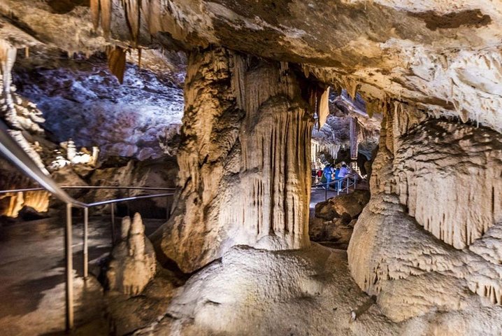 Discover the World Heritage treasures of the Blue Mountains Tour - Image 3
