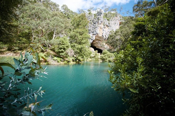 Discover the World Heritage treasures of the Blue Mountains Tour - Image 2