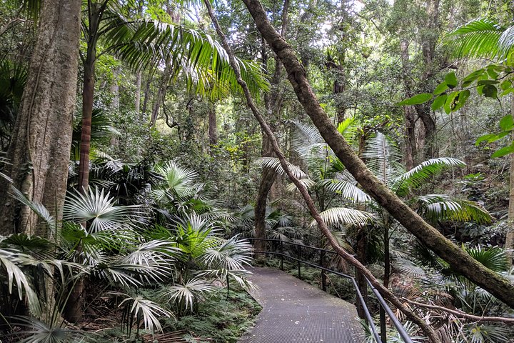Erupting Blowholes and Ancient Rainforests SOUTH COAST OF SYDNEY PRIVATE TOUR - Image 4
