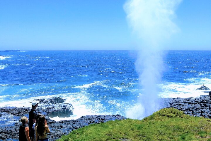 Erupting Blowholes and Ancient Rainforests SOUTH COAST OF SYDNEY PRIVATE TOUR - Image 1