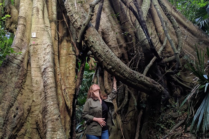 Erupting Blowholes and Ancient Rainforests SOUTH COAST OF SYDNEY PRIVATE TOUR - Image 5