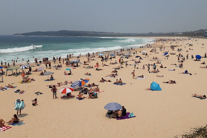 Experience the Real Sydney with our Signature Tour - Image 4