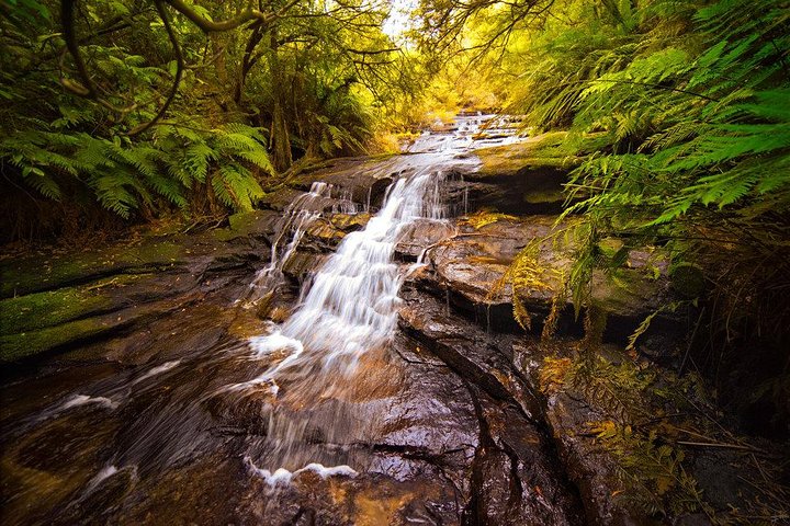 Fully Inclusive Blue Mountains Private Tour inc Scenic World & Featherdale Entry - Image 5