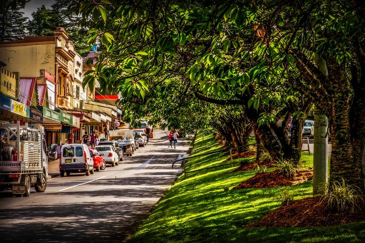 Fully Inclusive Blue Mountains Private Tour inc Scenic World & Featherdale Entry - Image 4