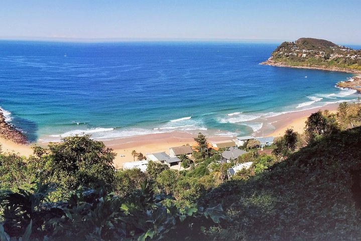 Golden Beaches and Ocean Vistas MANLY AND NORTHERN BEACHES PRIVATE TOUR - Image 1