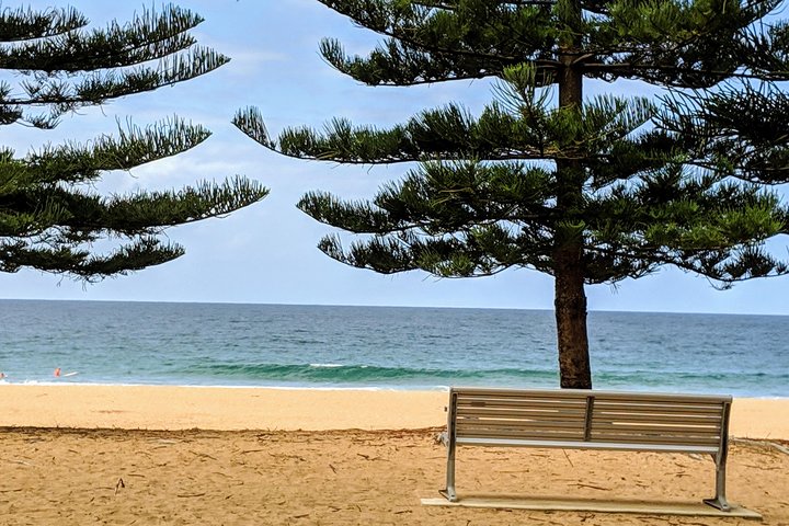 Golden Beaches and Ocean Vistas MANLY AND NORTHERN BEACHES PRIVATE TOUR - Image 5