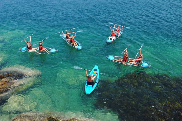 Guided Kayak Tour of Manly Cove Beaches - Image 2