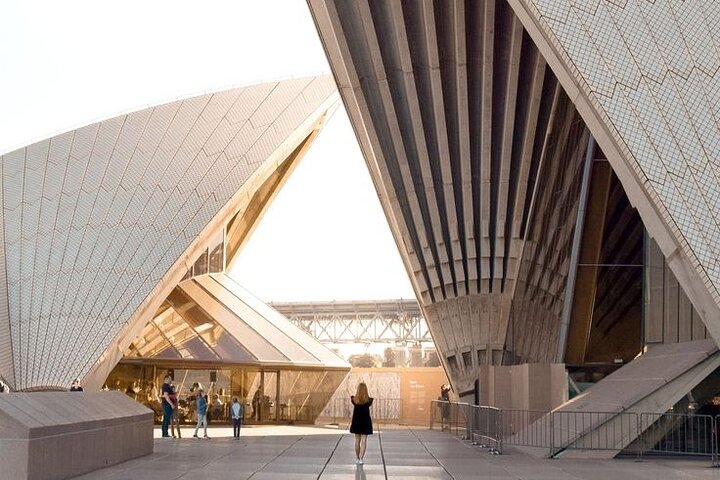 Half-Day Private Guided Tour of Sydney - Image 4