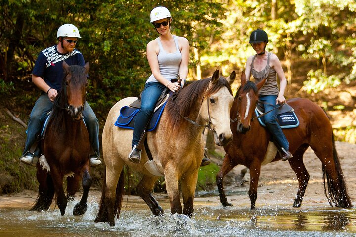 Horse Riding, Koalas & Kangaroos - Wild Australia: Private Tour - Image 1