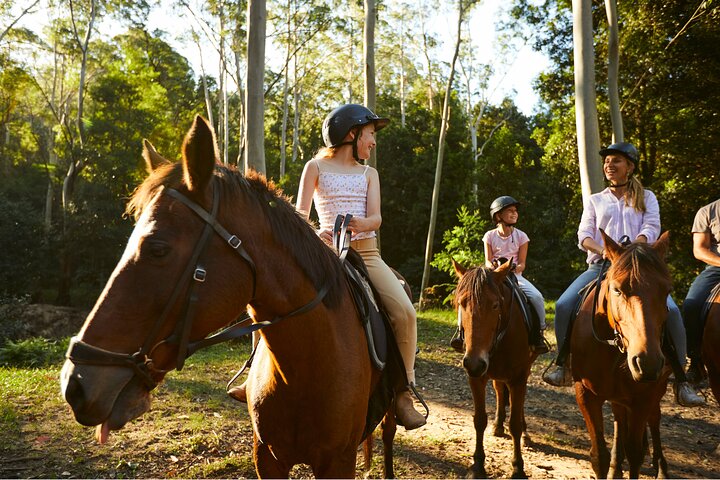 Horse Riding, Koalas & Kangaroos - Wild Australia: Private Tour - Image 5