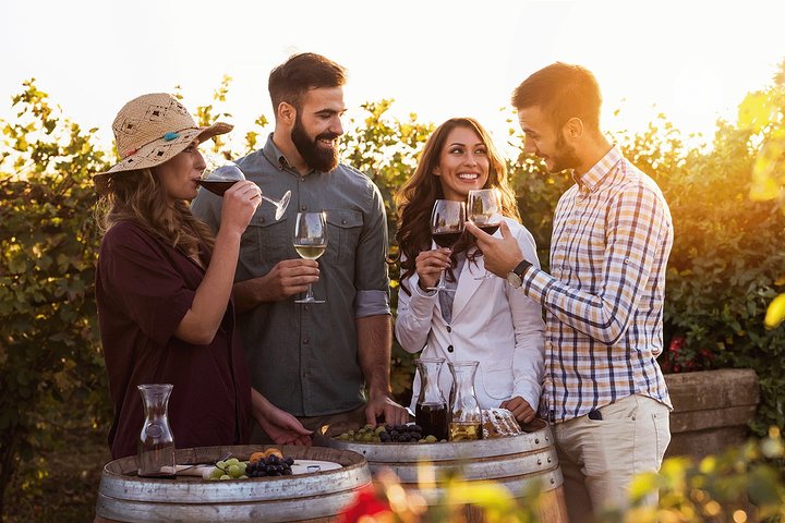 Hunter Valley Highlights Private Wine Tour from Sydney  - Image 1