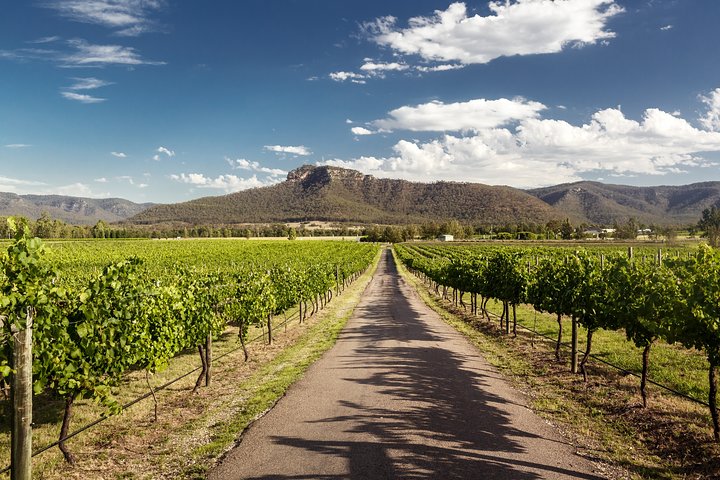 Hunter Valley Highlights Private Wine Tour from Sydney  - Image 5