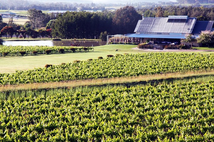 Hunter Valley Private Wine Tasting Tour from Sydney - Image 1