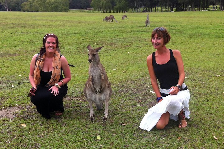 Hunter Valley Private Wine Tasting Tour from Sydney - Image 4