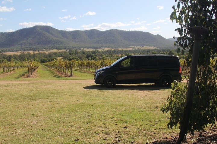 Hunter Valley Wine Country Luxury Tour from Sydney - Image 5