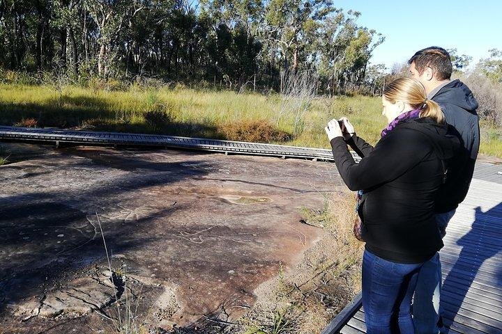 Kangaroo Encounter & Aboriginal Rock Arts Half-Day Trip from Sydney - Image 3