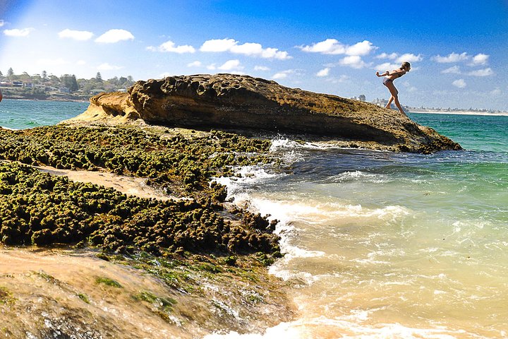 Kiama Blowhole, Beaches and Bushwalks Private Sydney Tour - Image 4