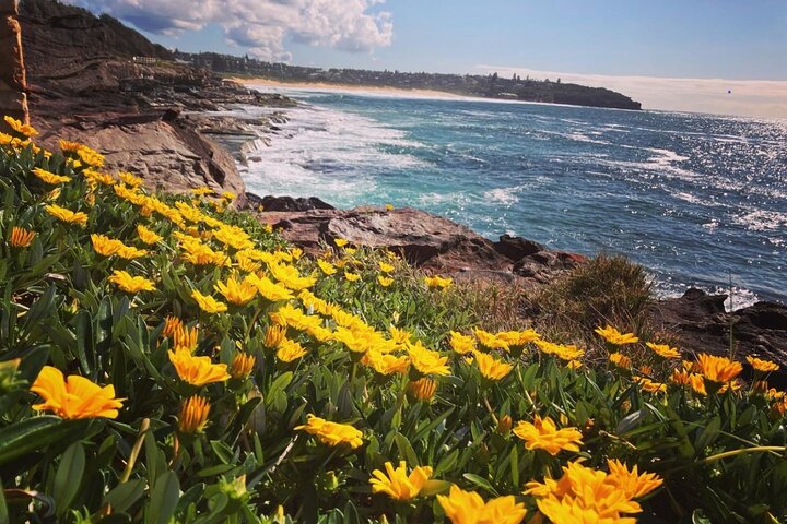 Nature, Culture and History, Immersive Guided Walk in North Head, Sydney - Image 1