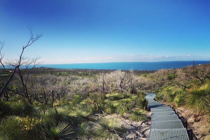 Nature, Culture and History, Immersive Guided Walk in North Head, Sydney - Image 5