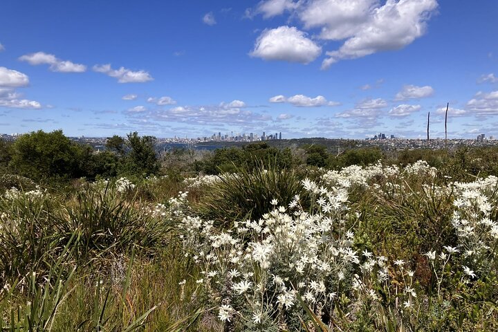 Nature, Culture and History, Immersive Guided Walk in North Head, Sydney - Image 3