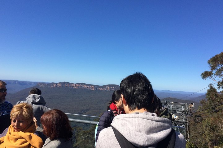 PRIVATE All Blue Mountains Tour, Wildlife Park and River Cruise - Image 5