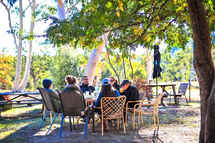 Private Blue Mountains and Winery Day-Trip from Sydney - Image 5